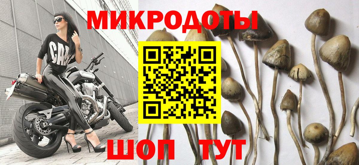 Псилоцибиновые грибы ЛСД Рязань