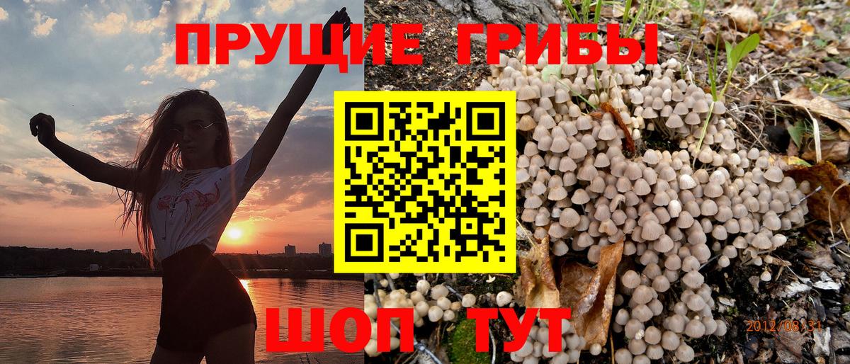 где продают   Псилоцибиновые грибы мицелий  Вход с VPN  Рязань 